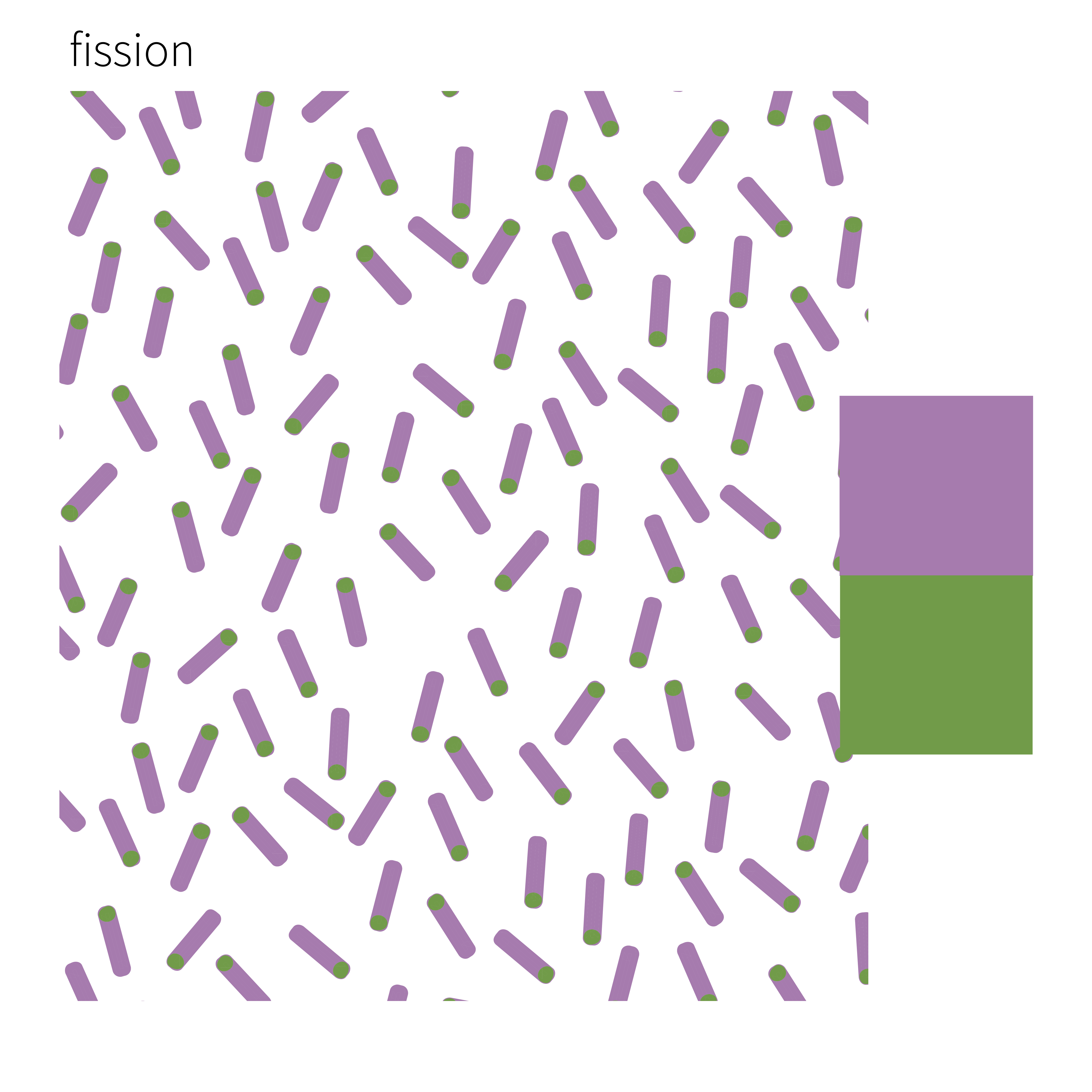 fisson