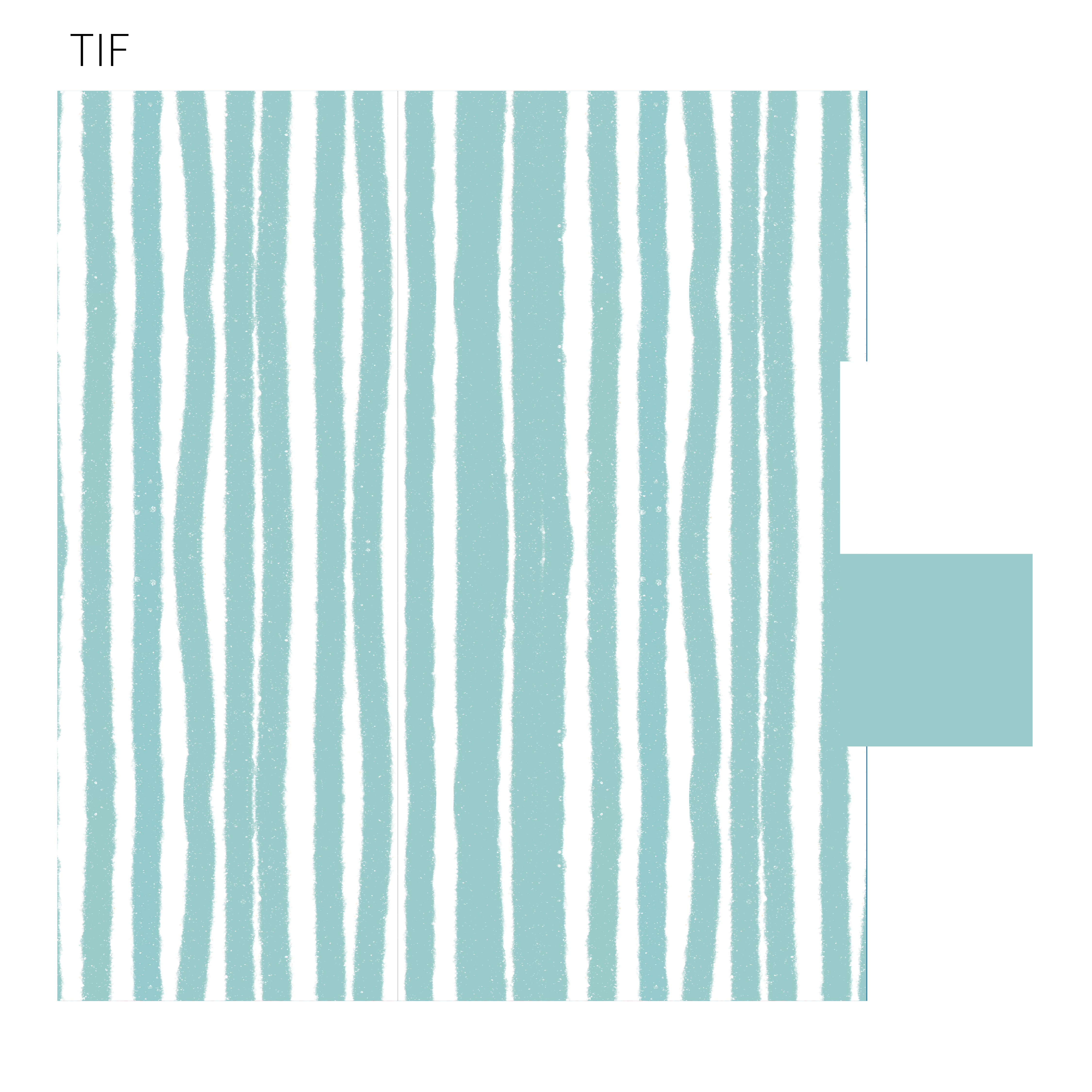 TIF