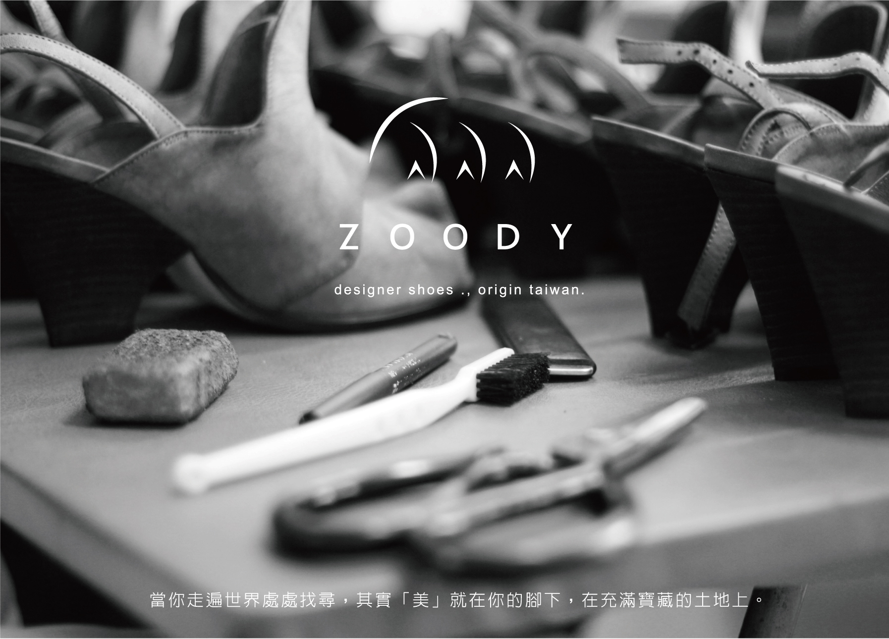 about ZOODY