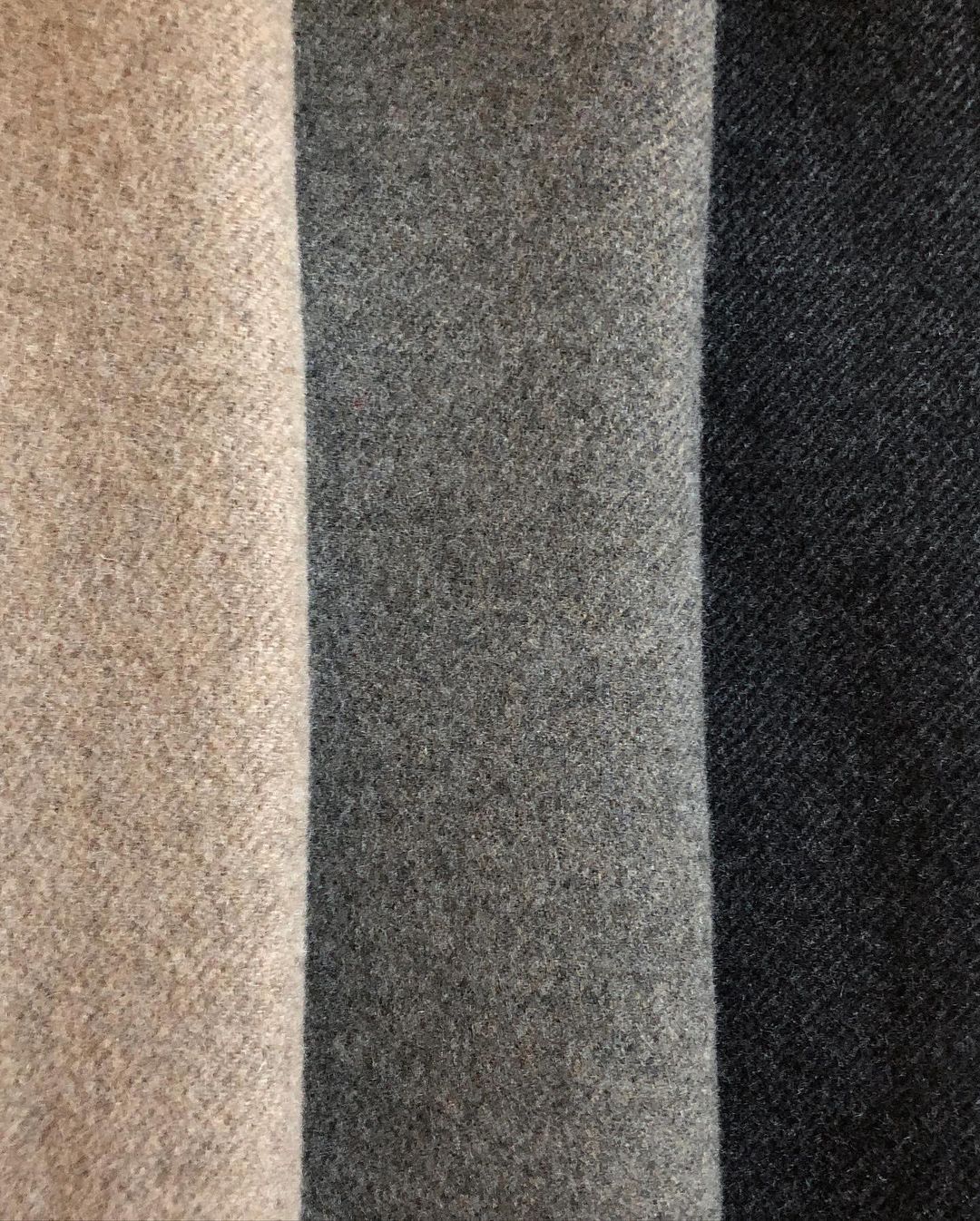 official_damber_311882028_400758932112348_6366305371082434942_n