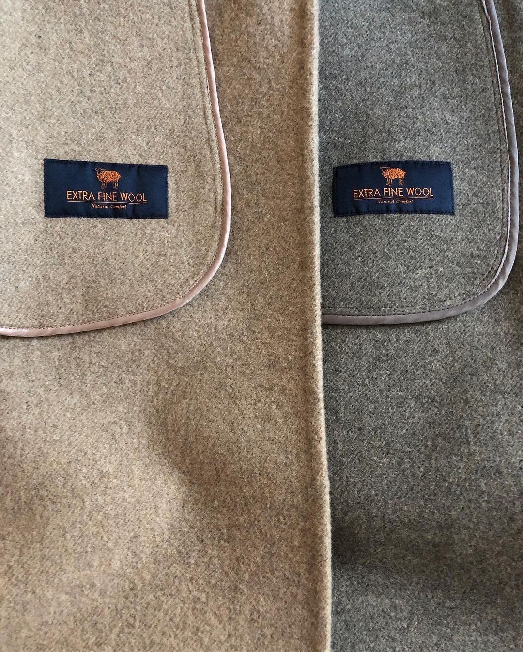 official_damber_312088573_514492943854603_1305847065360086465_n