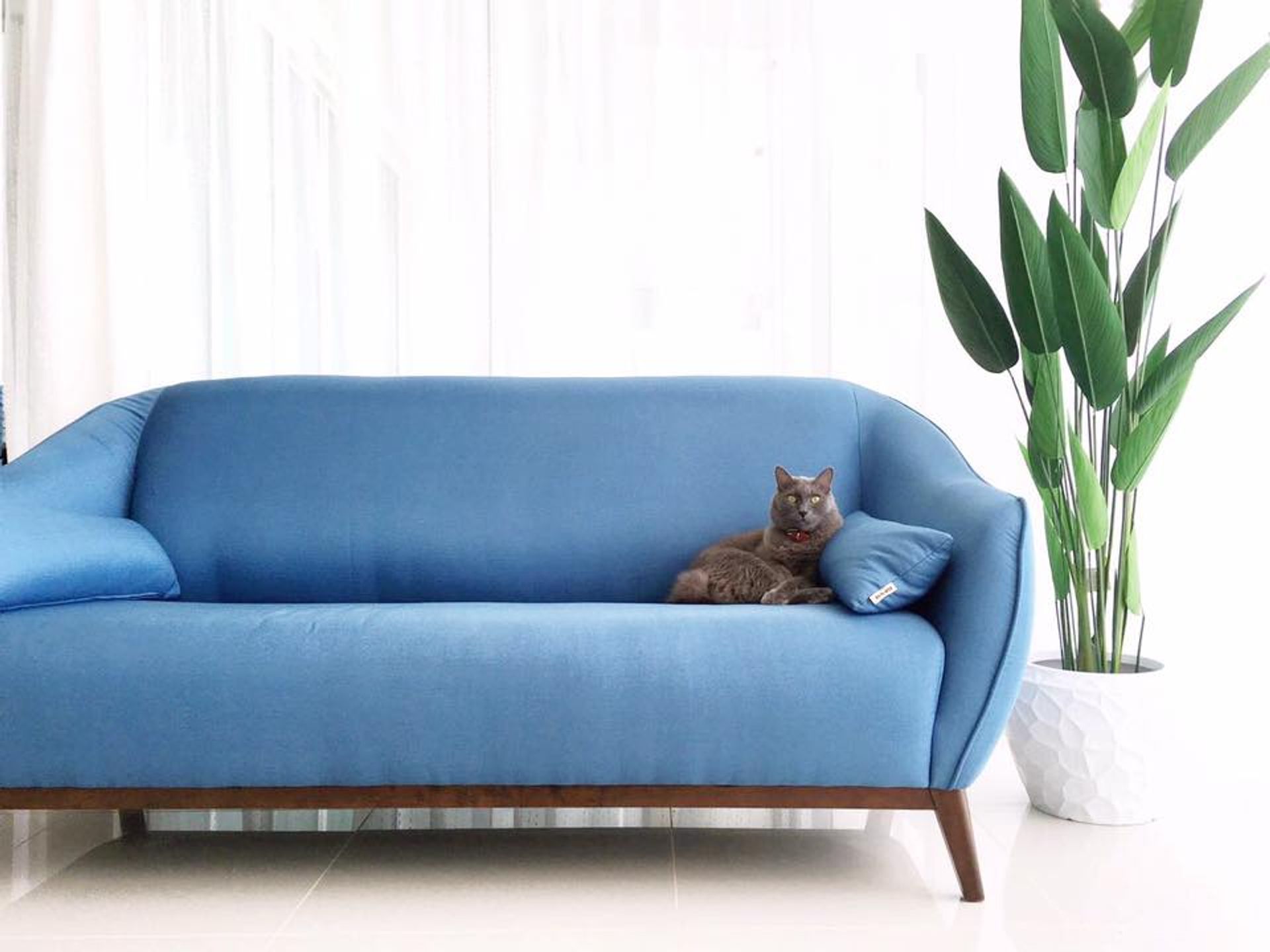HOI KONG FURNITURE | Exclusive promotion