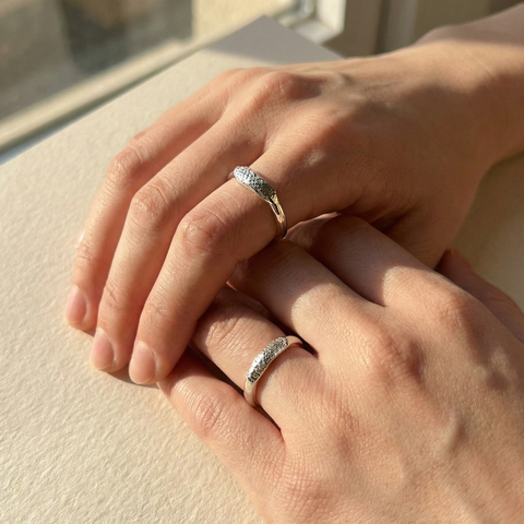 截圖 2026-01-28 下午5.57.11