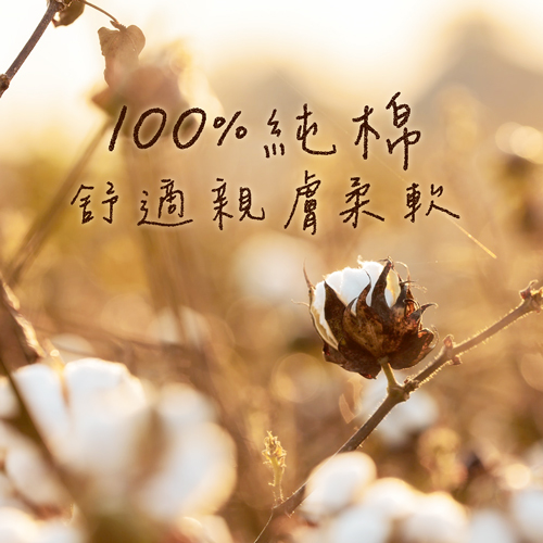 100%純棉-500