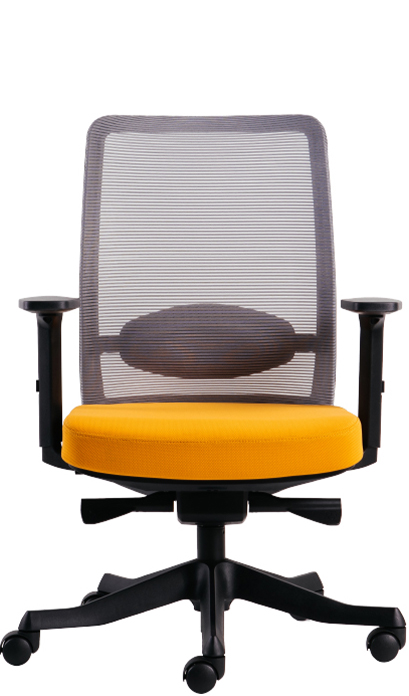 AIMIZON ANGGUN Office Chair Backrest - Mid Back