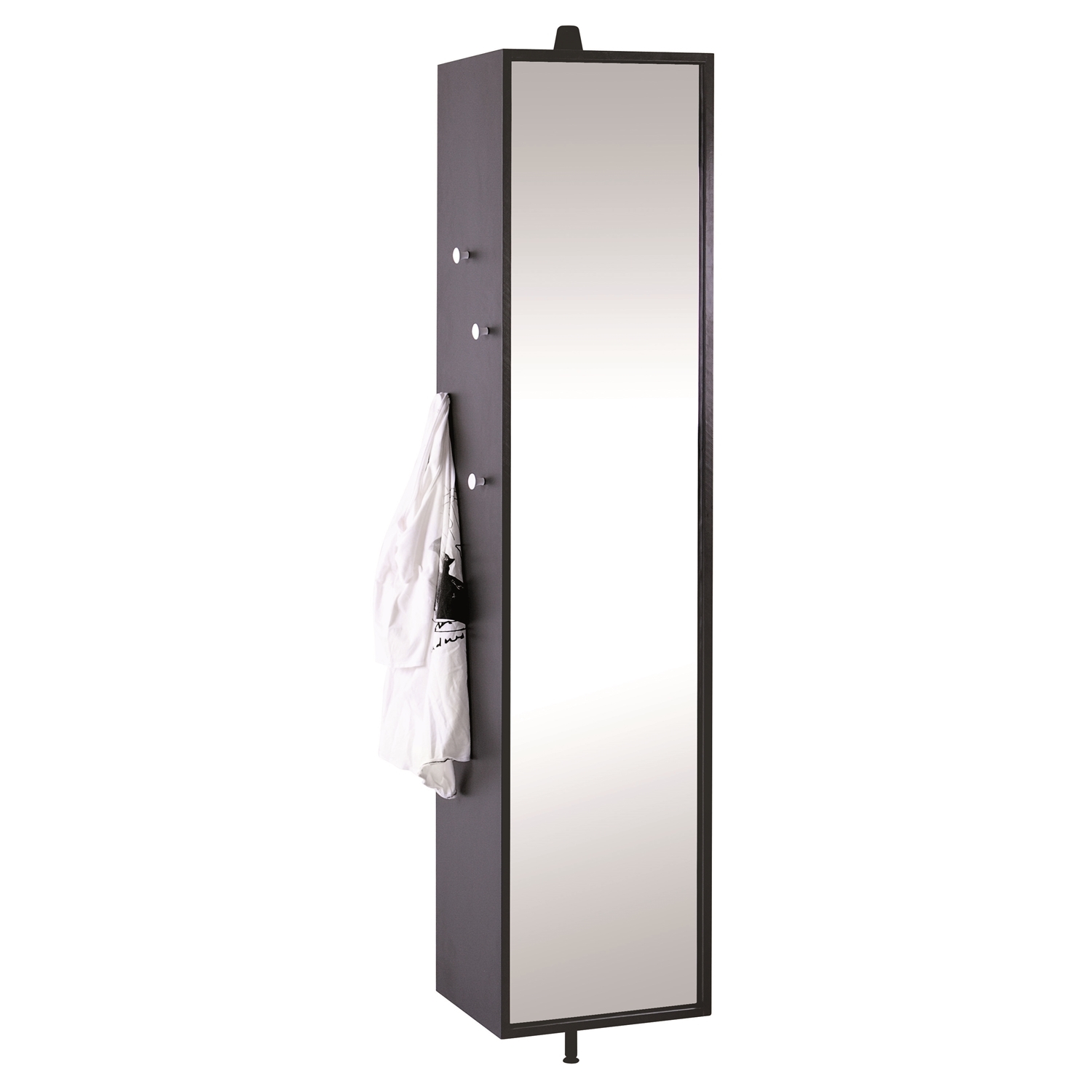 AIMIZON Gilopi Shoe Cabinet with Mirror in Charcoal Grey lacquered