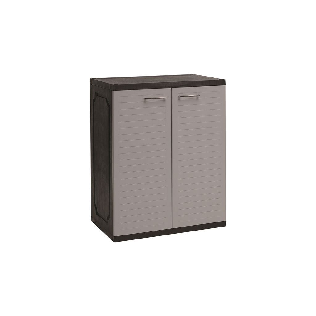 AIMIZON Qptomas shoe cabinet with Black colour body, Grey colour door