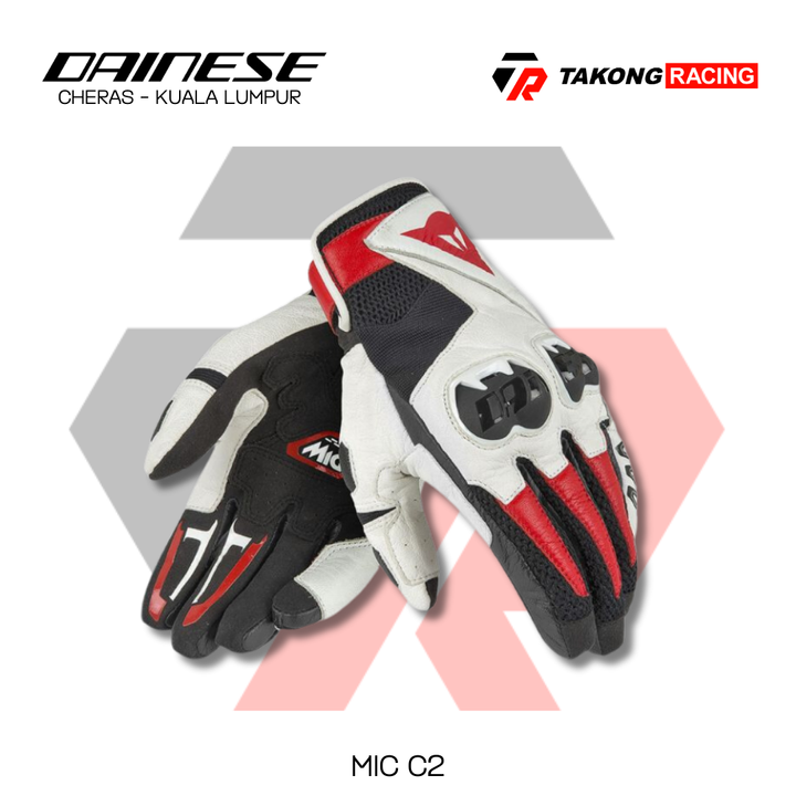 MIC C2 (3)