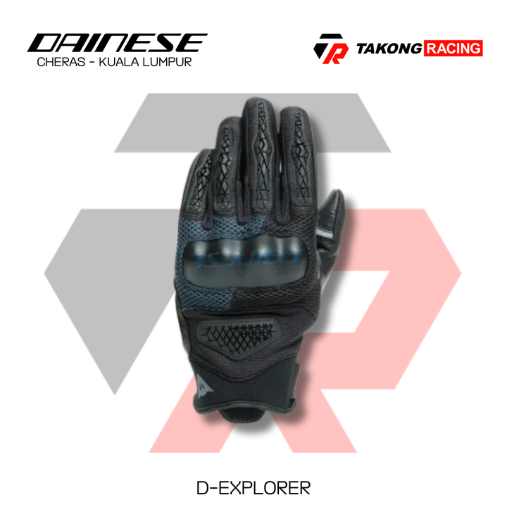 D-EXPLORER (3)