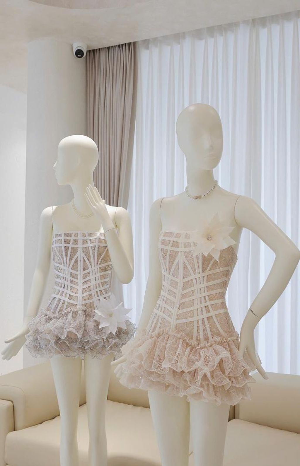 WhatsApp Image 2025-12-10 at 3.15.02 PM