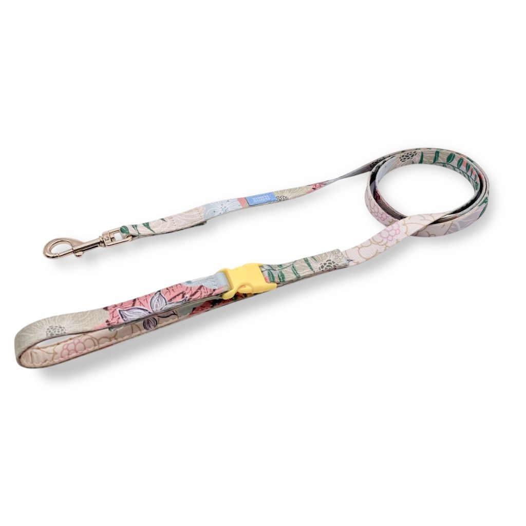 Photoroom_20260122_145029