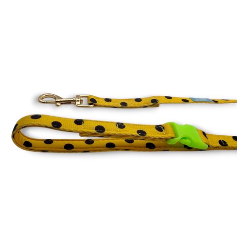 image_1AC62033-6E93-4CDC-A6D4-E8794F931327_1776407503