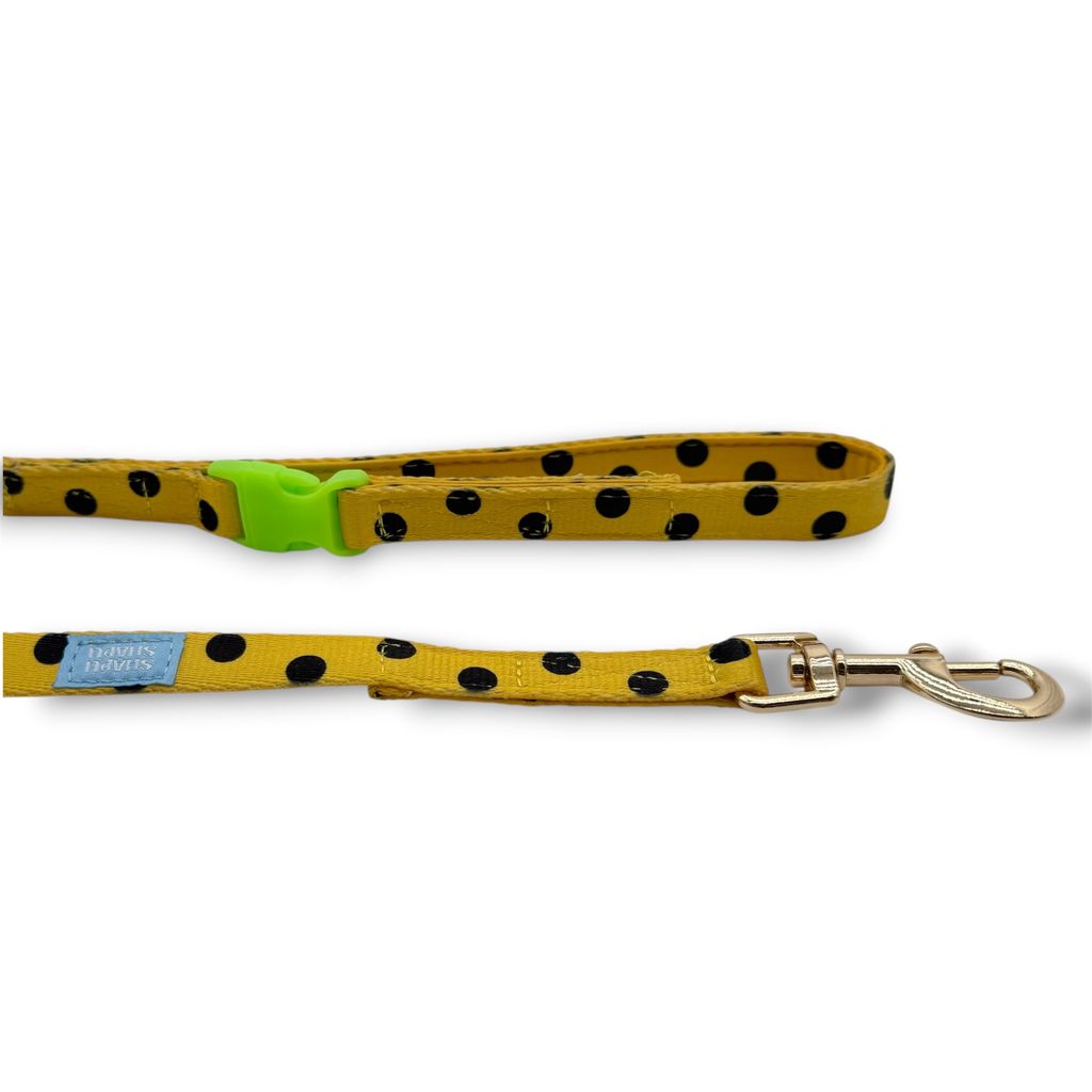 image_50E0FA42-7F4F-4742-8AB6-46D513DAEE8F_1776407503