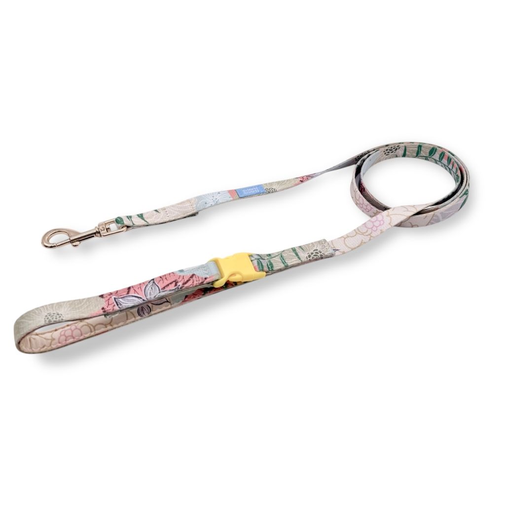 Photoroom_20260122_145029