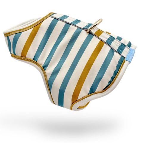 Photoroom_20260122_154217