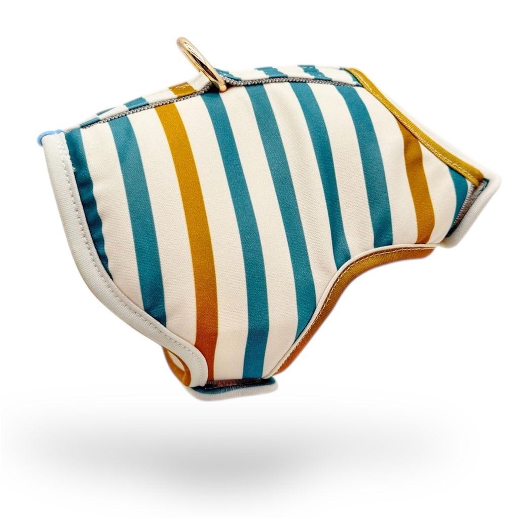 Photoroom_20260122_154247