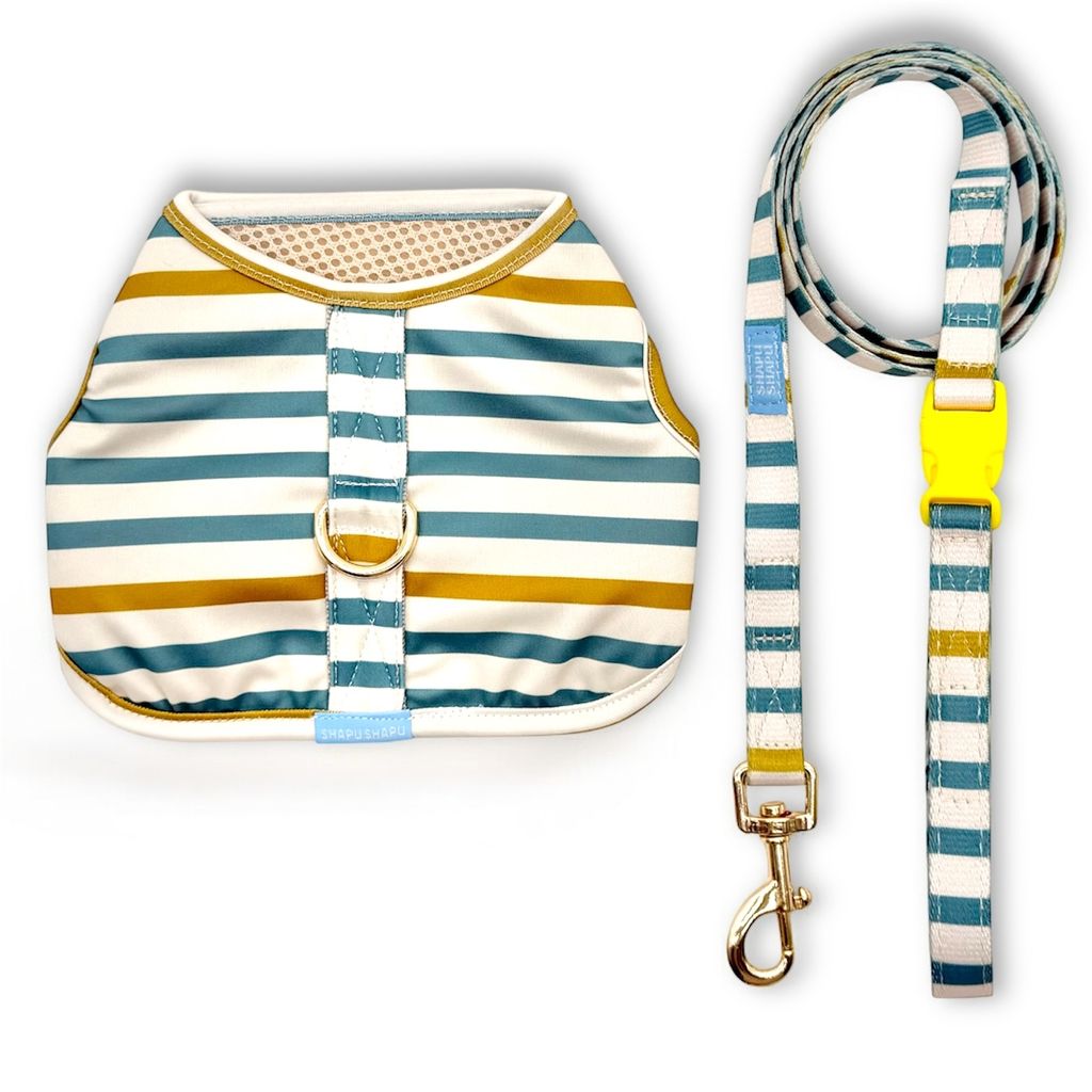 Photoroom_20260122_154311