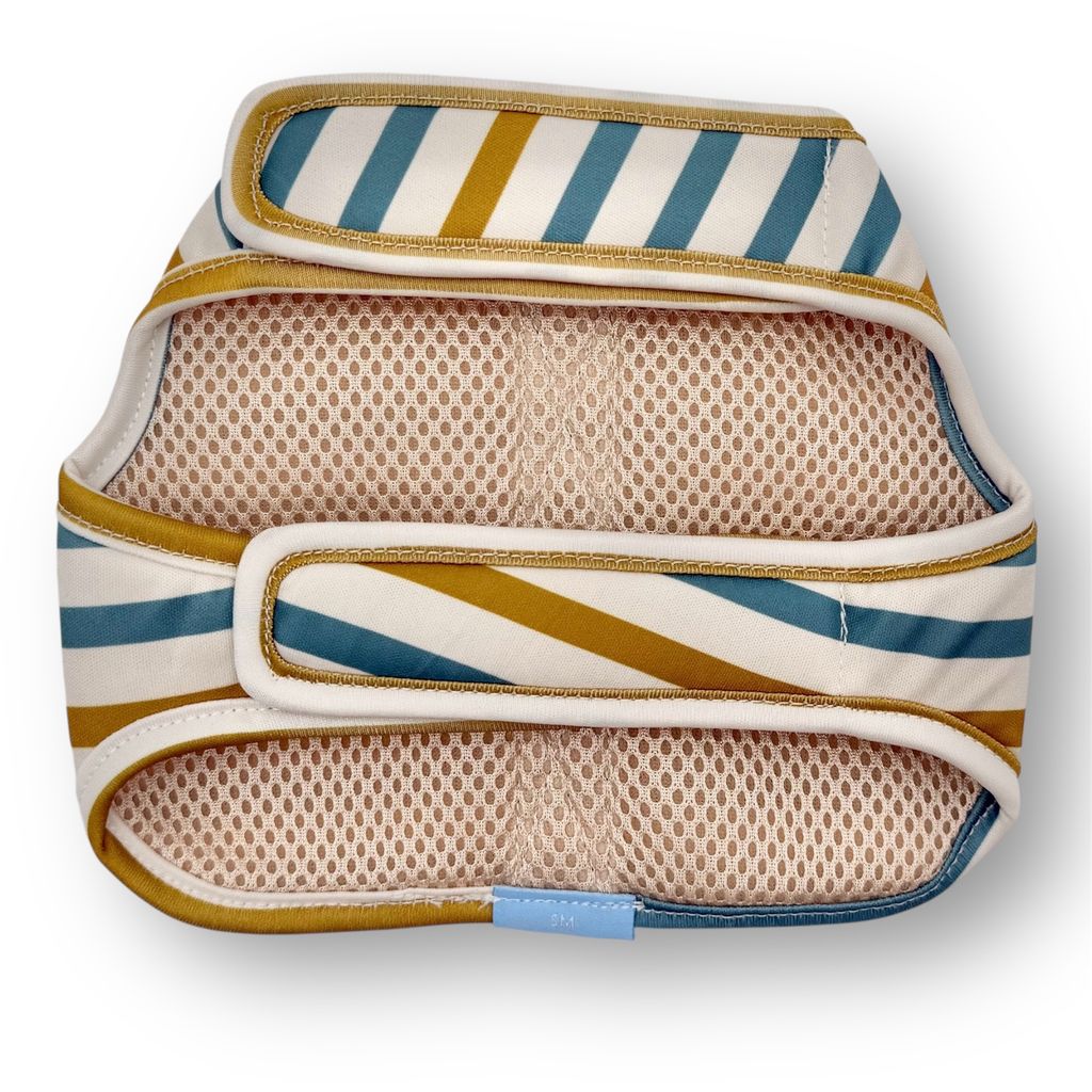 Photoroom_20260122_154345