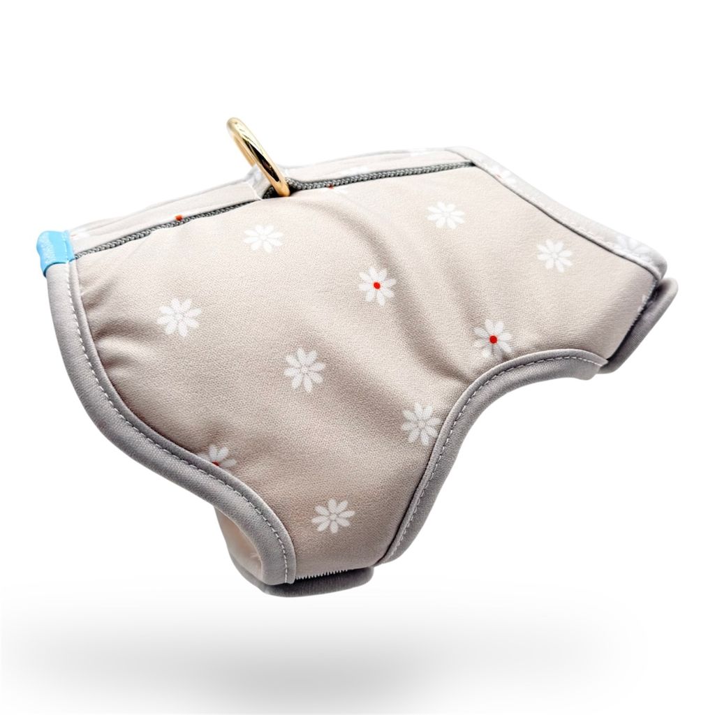 Photoroom_20260122_234631