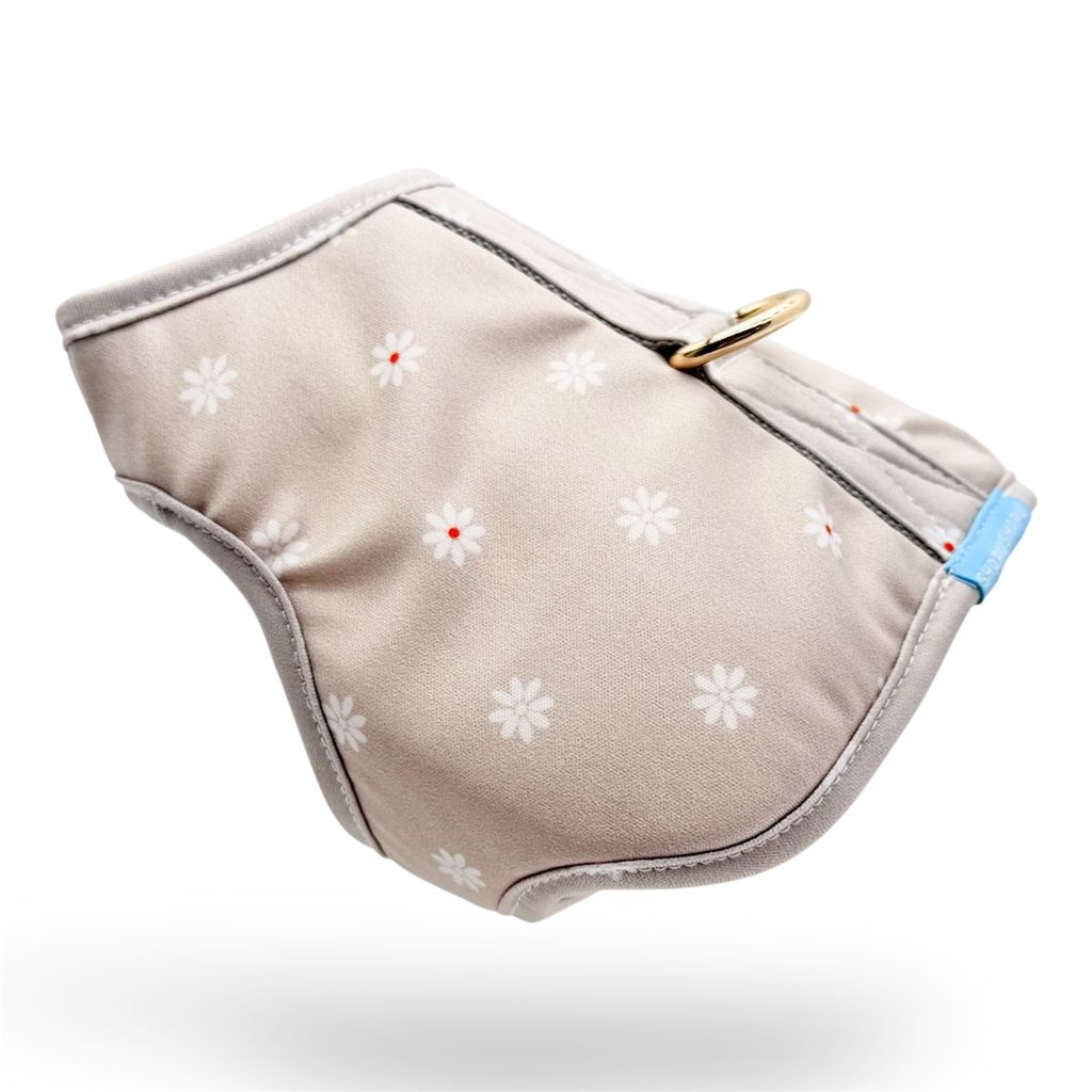 Photoroom_20260122_234607