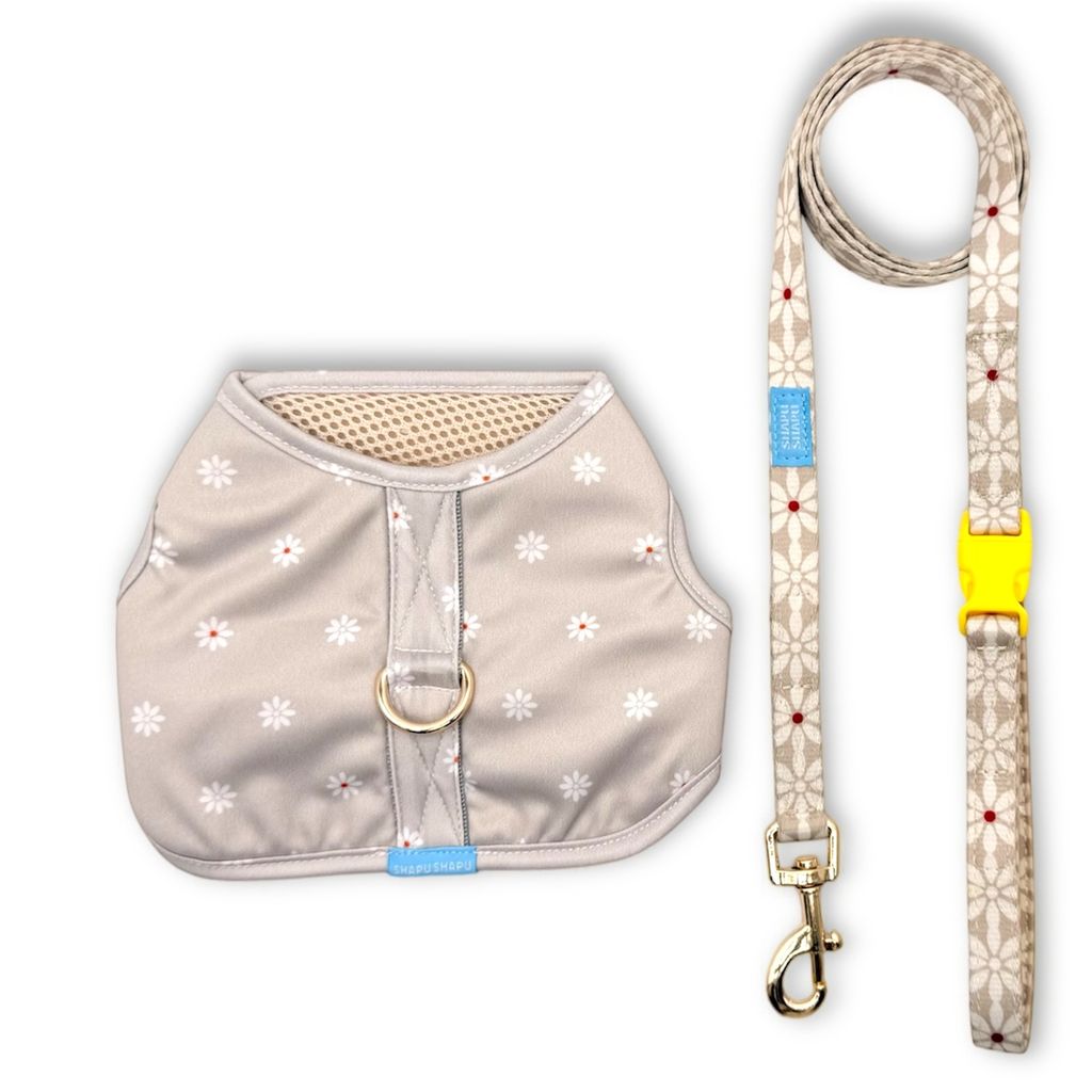 Photoroom_20260122_233536