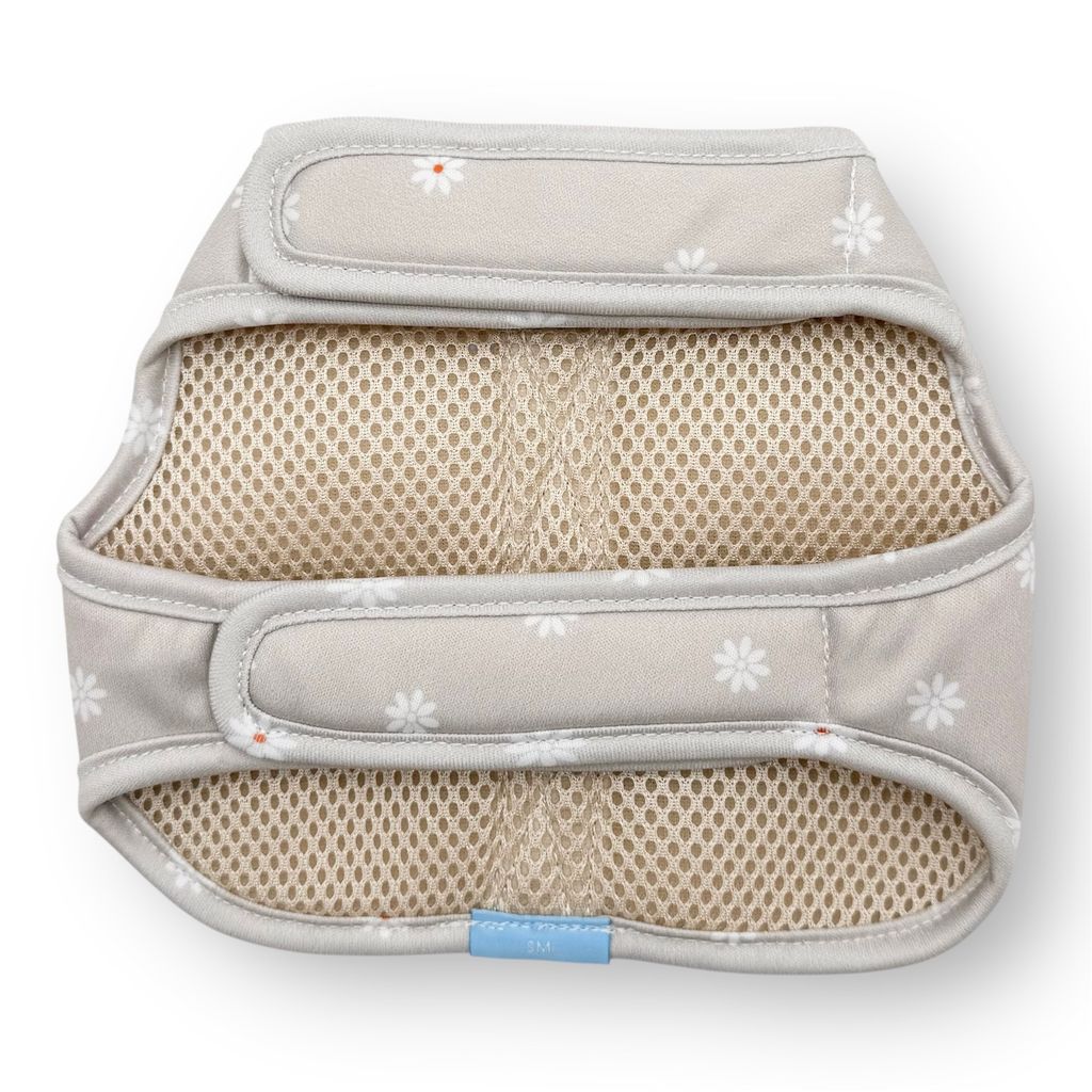 Photoroom_20260122_234530