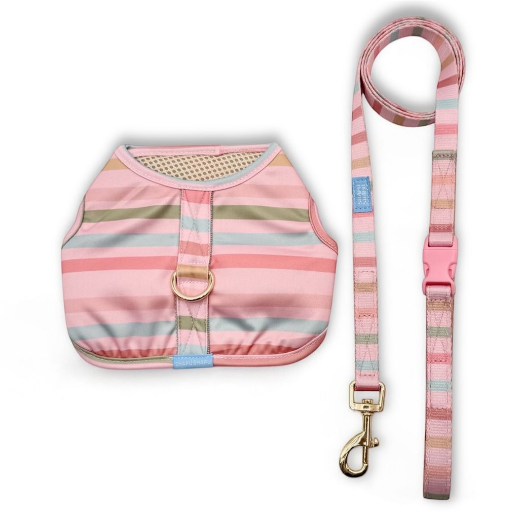 image_52498DBE-BAE4-4D4F-A4A7-108483B3CBD9_1771815854