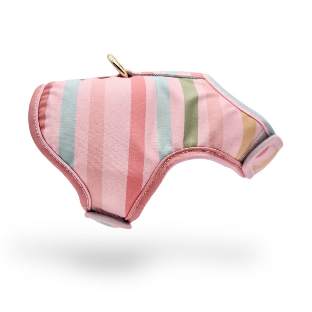 image_E2B02B4D-5CCE-4BA3-BBB4-53201076572C_1771815854