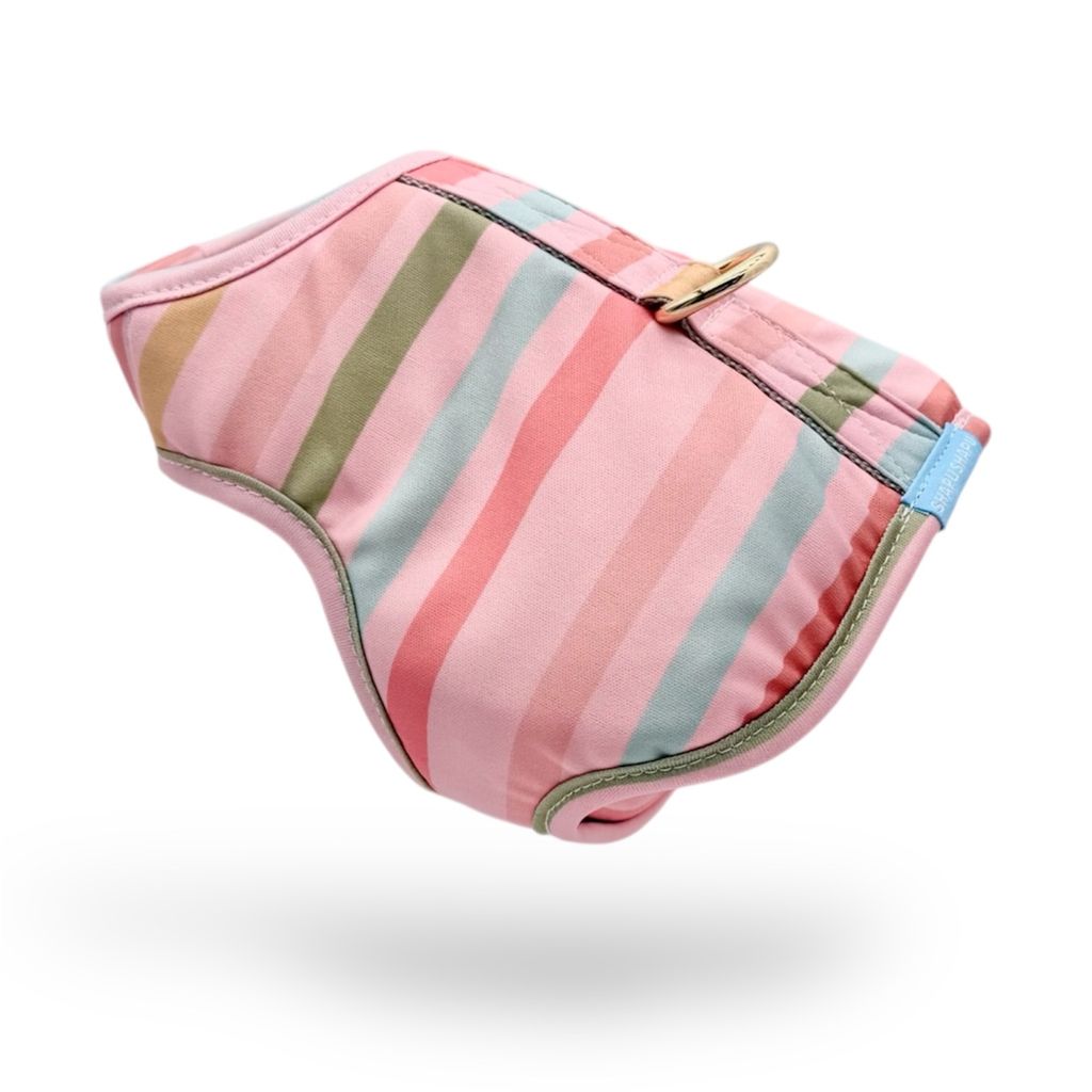 image_9254A300-1188-4B59-8923-D1844E391BFA_1771815854