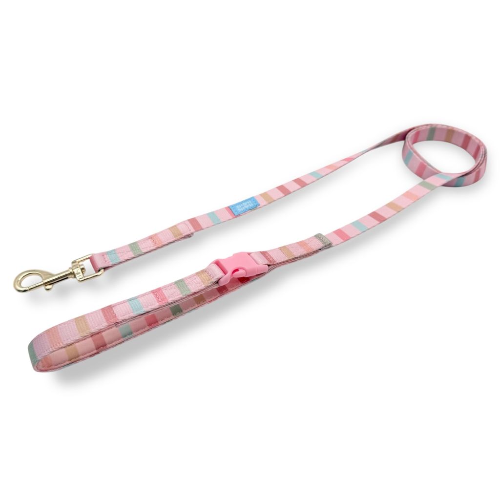 image_1D52E4E3-0B5E-4DD2-85F5-6285E819281C_1771815892