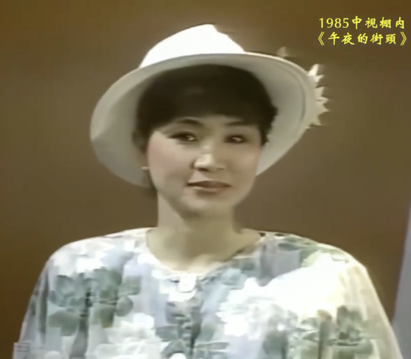 鳳飛飛 1985