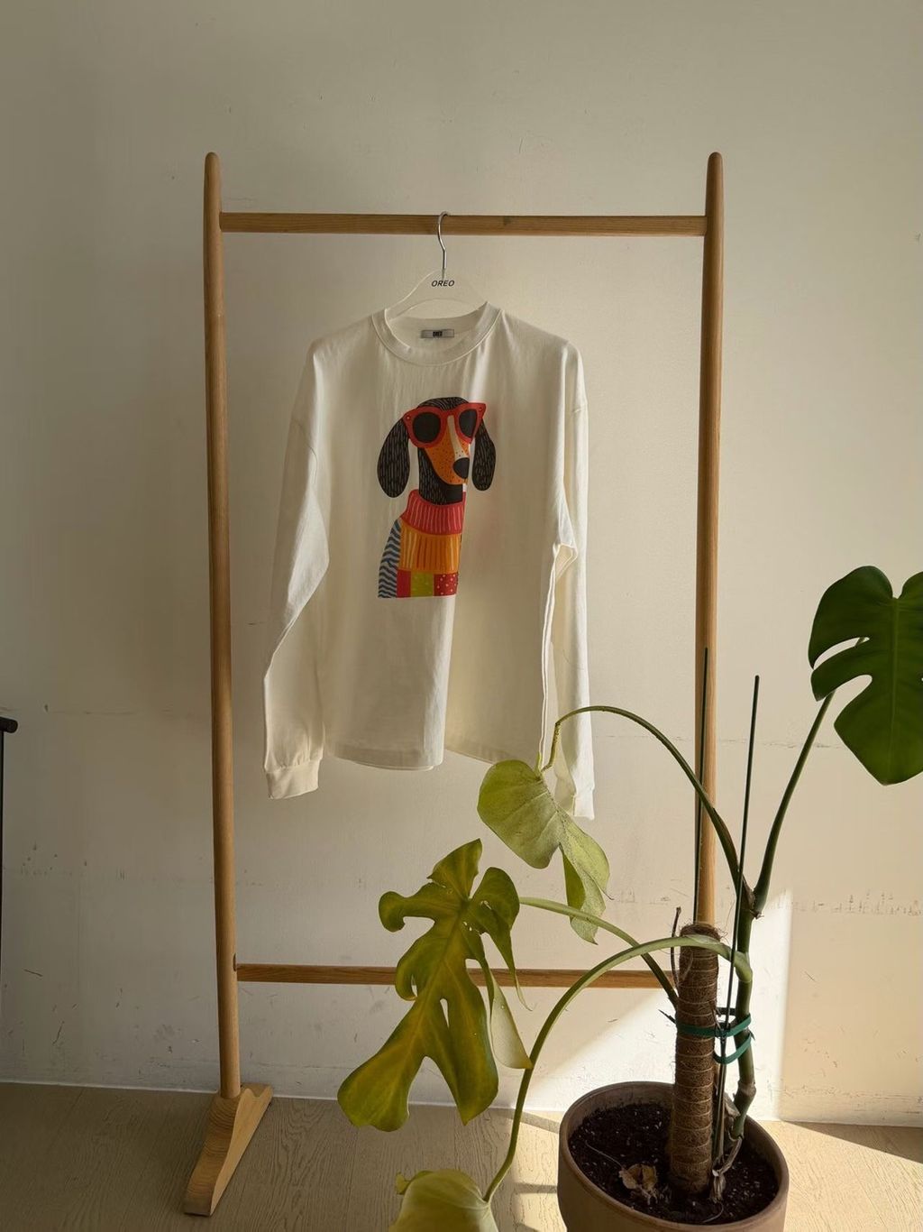 image_0B27DDC2-0091-4C10-8A4C-D57C06BEB6C1_1772447550