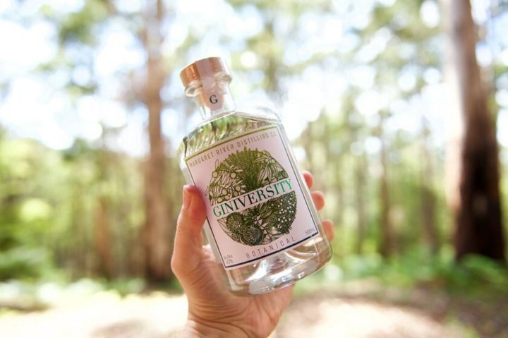 Giniversity-4.jpg