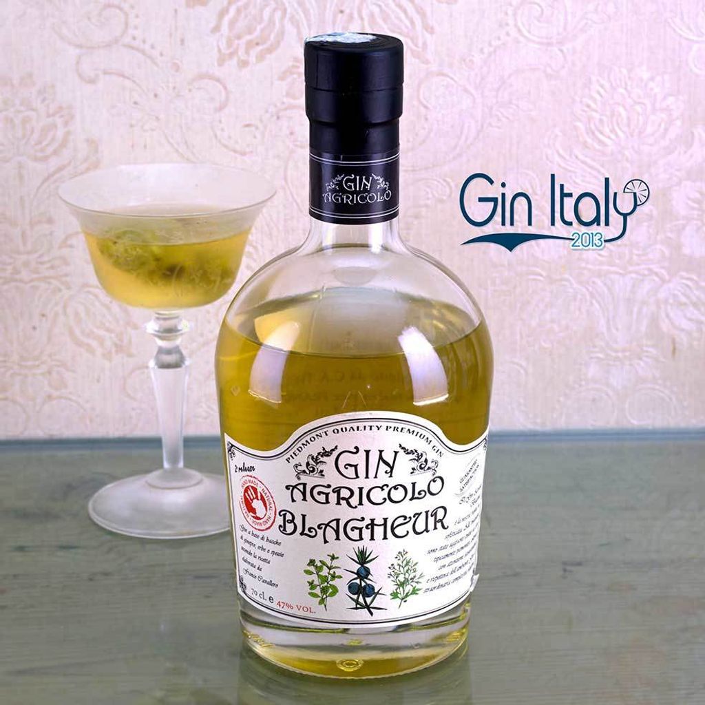 Gin-Agricolo-Blagheur-Martini.jpg