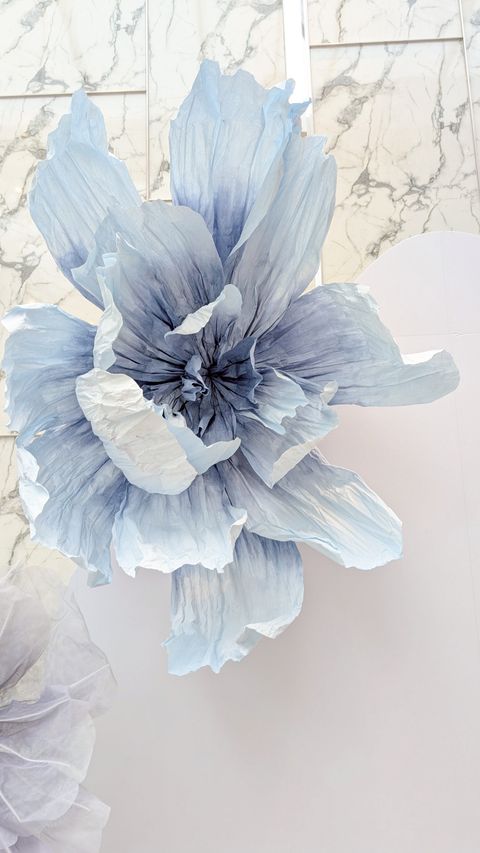 image_C9750920-7D24-49FF-B64A-8F0FBFBDADA2_1753708328