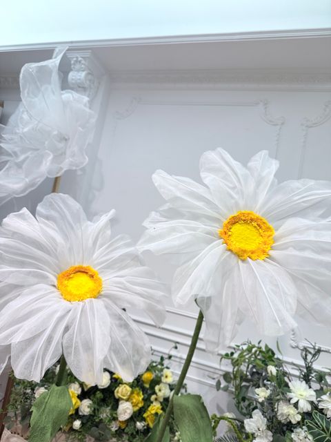 image_45B91FC2-739F-4AD8-8D76-8D323B20FEFE_1754733693