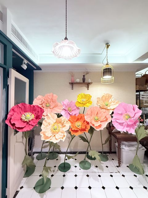 image_4F2E15C2-B4DE-4B2B-AE67-63E56E2E7CB1_1756712574