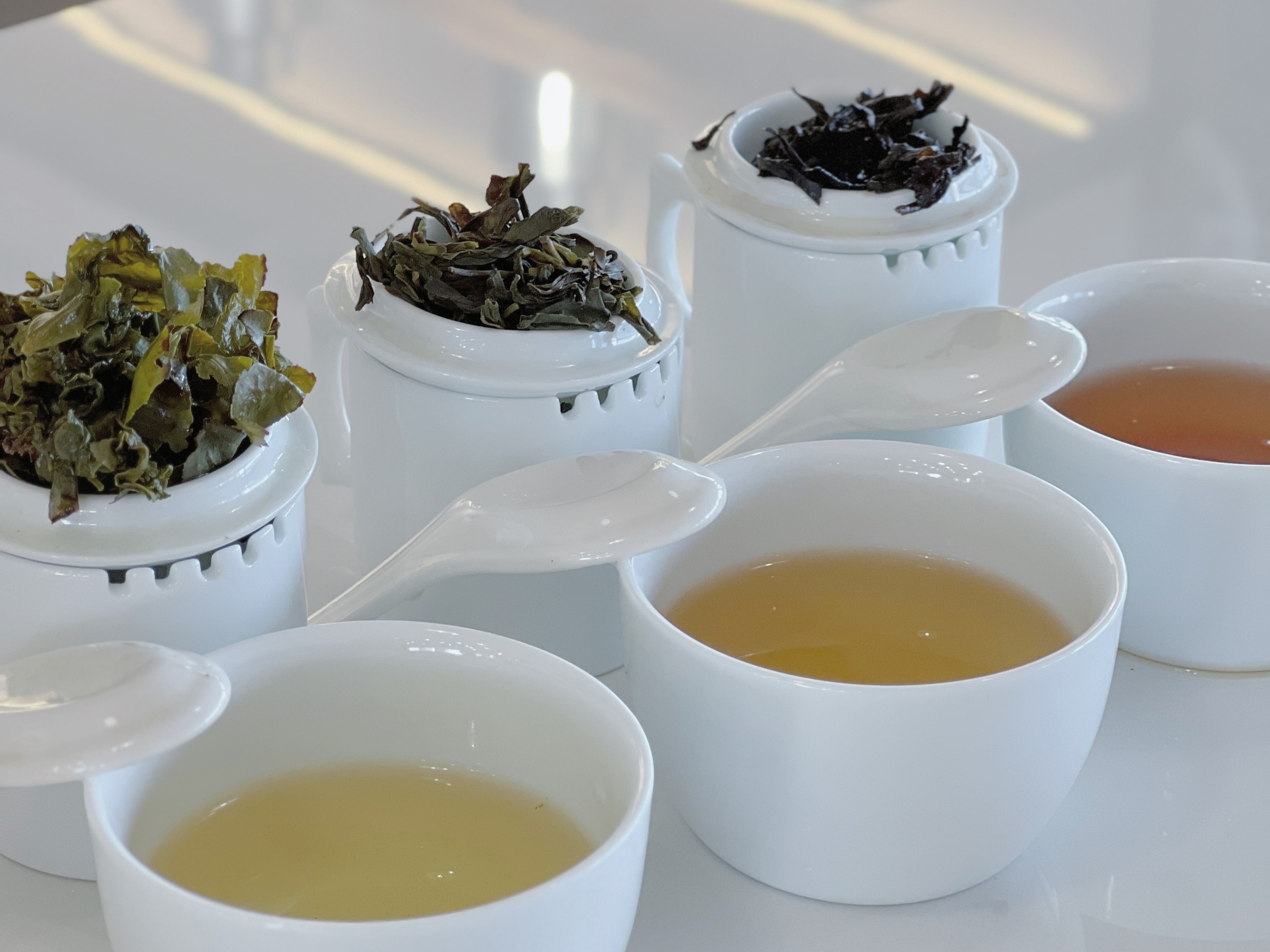 Workshop | Hi Tea Malaysia 茶之研習所