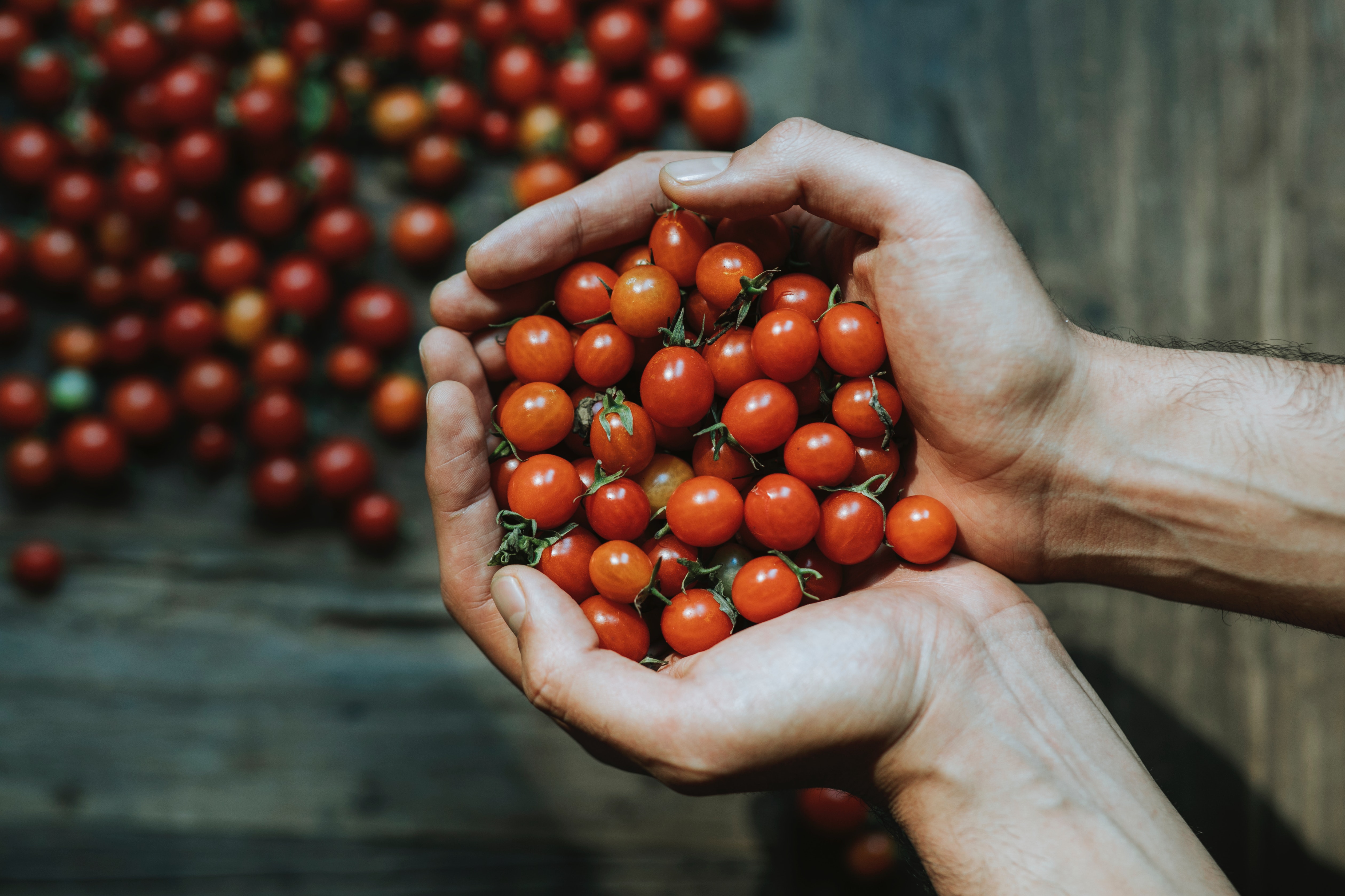 Urban Farm Tech | Aquaponic for Urban Farmers