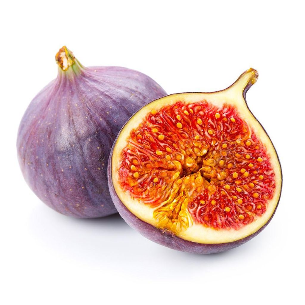 SA fig.jpg