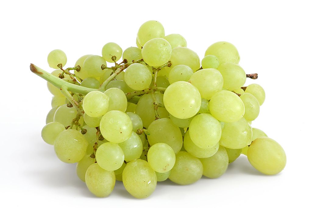 Sweet Globe Green Seedless Grapes 1.jpg
