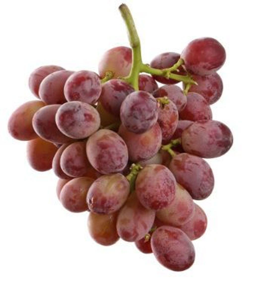 Australia ButterScotch Red Grape 1.JPG