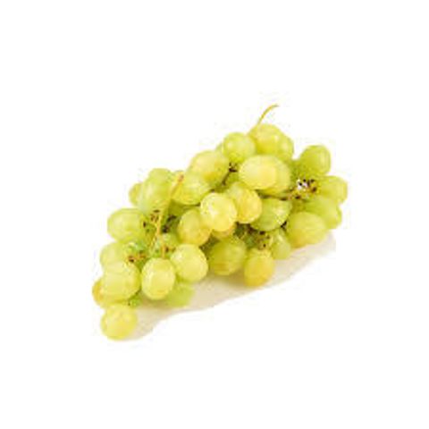 Australia Great Green.jpg