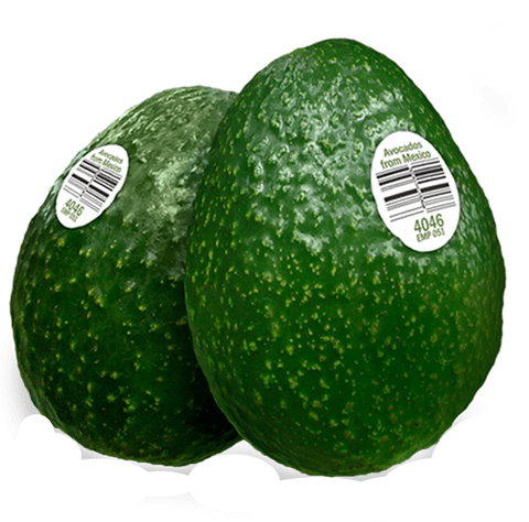 Mexico Chahena Avocado.png
