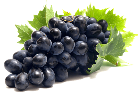 Australian Melody Seedless Black.png