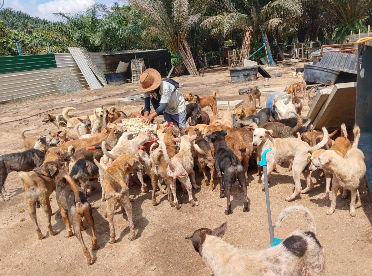 561723445_774463988735197_4686291782212434753_n