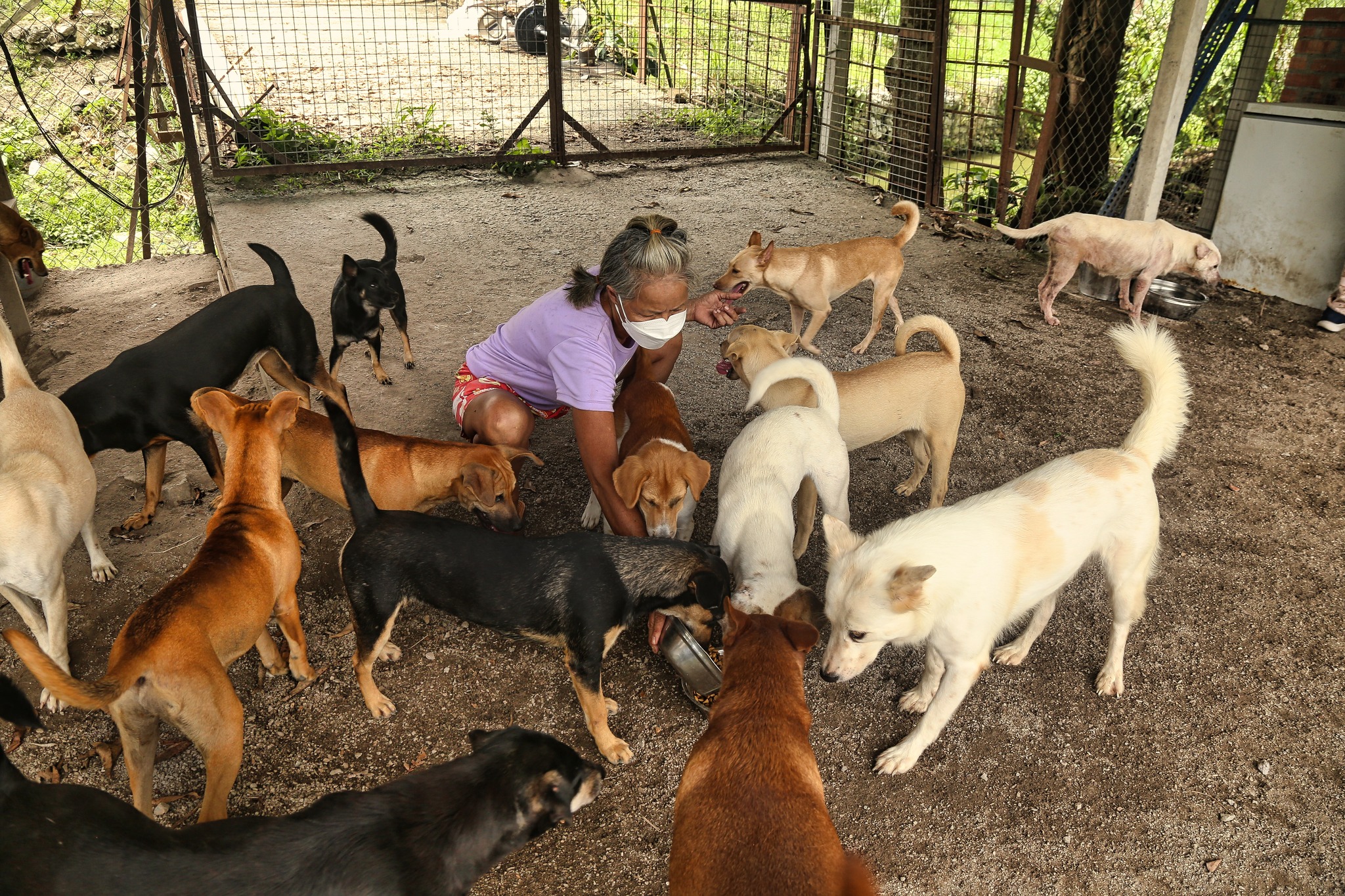 473031750_992288576052234_4254367709291841150_n