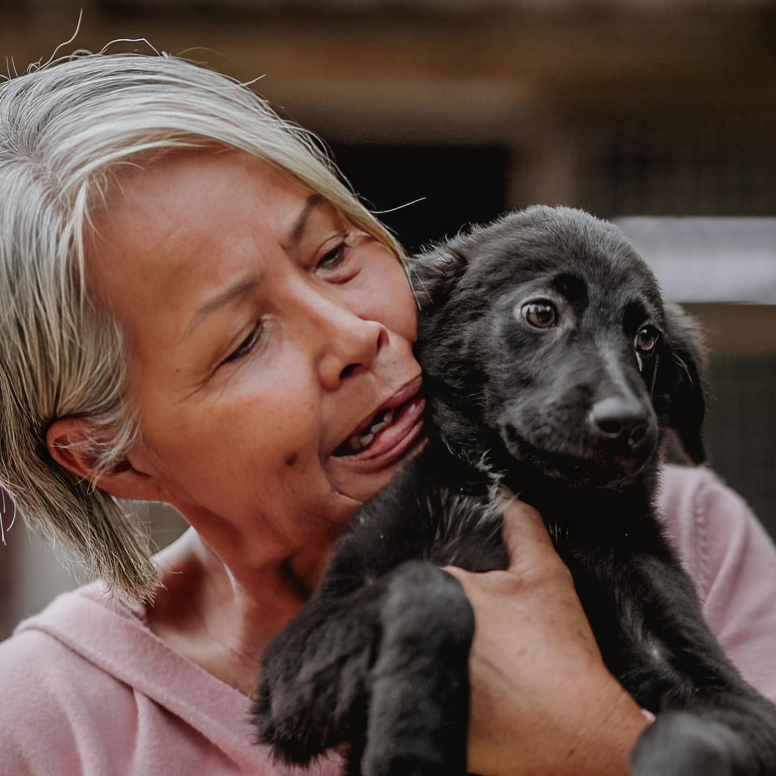 Penang Hope of Strays
