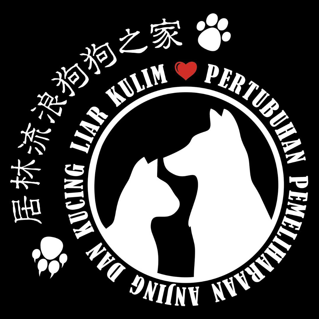 271807919_226784482978780_6479775621255372243_n