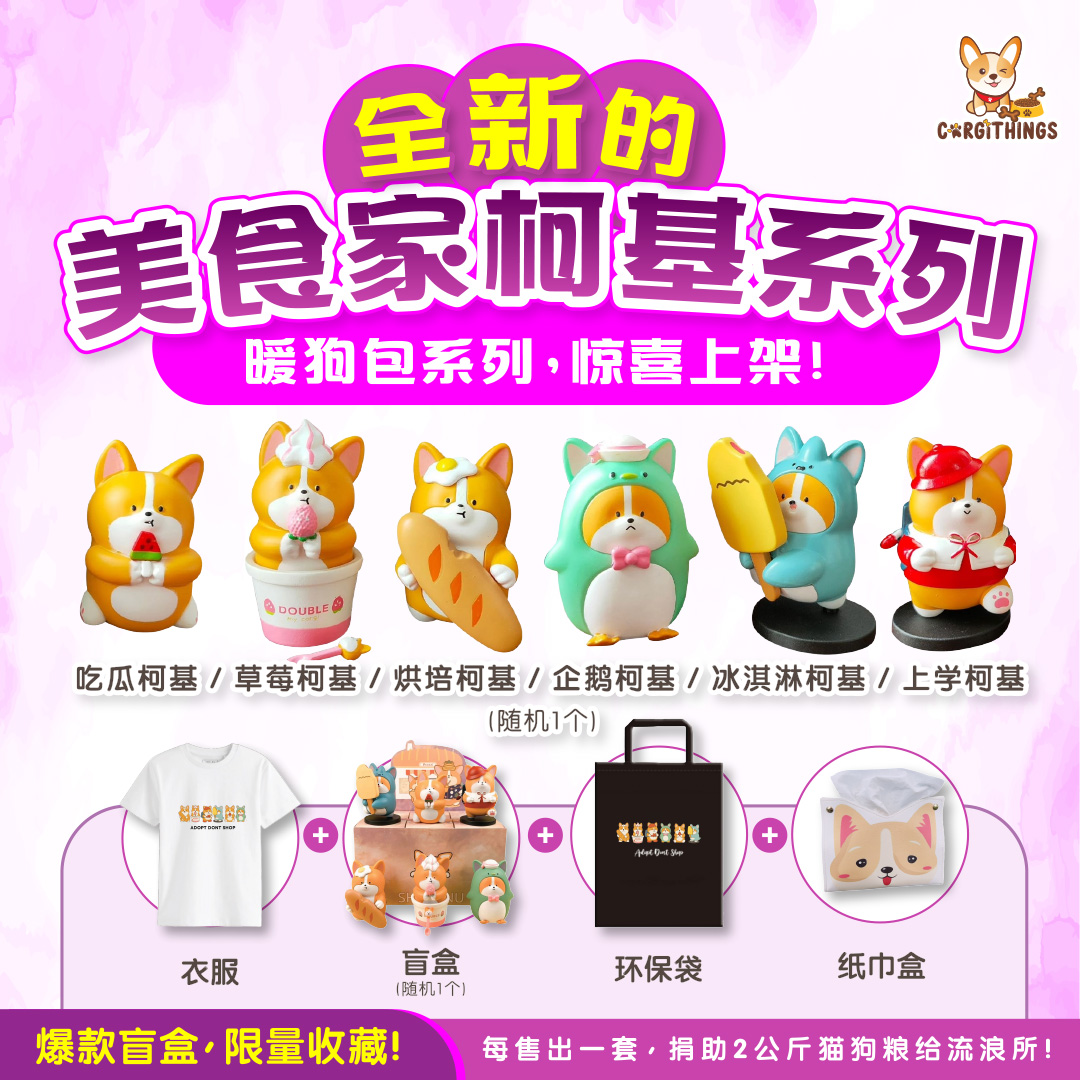 CORGITHINGS ADS - 29012026 POSTER 002.jpg